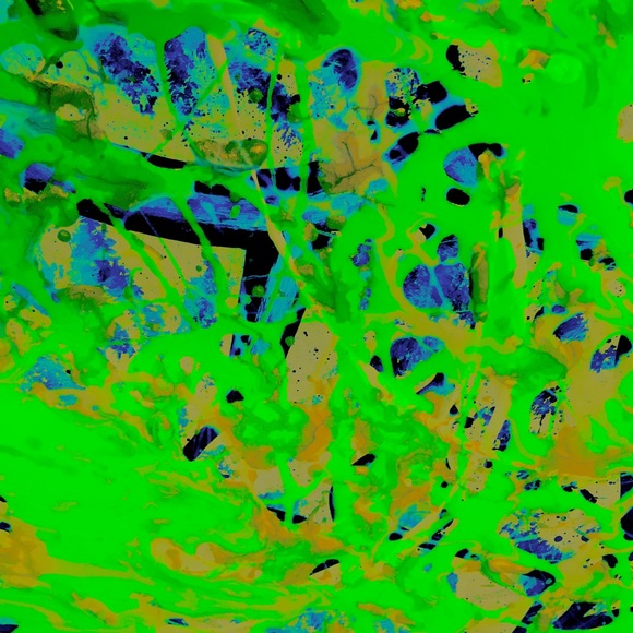 Meet the Posher Other - Meet your Posher, Christopher